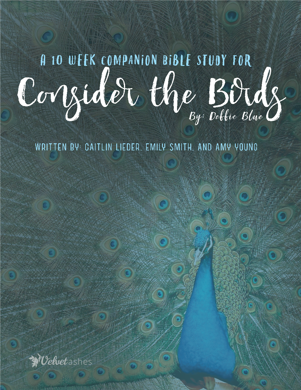 Consider the Birds Companion Bible Study