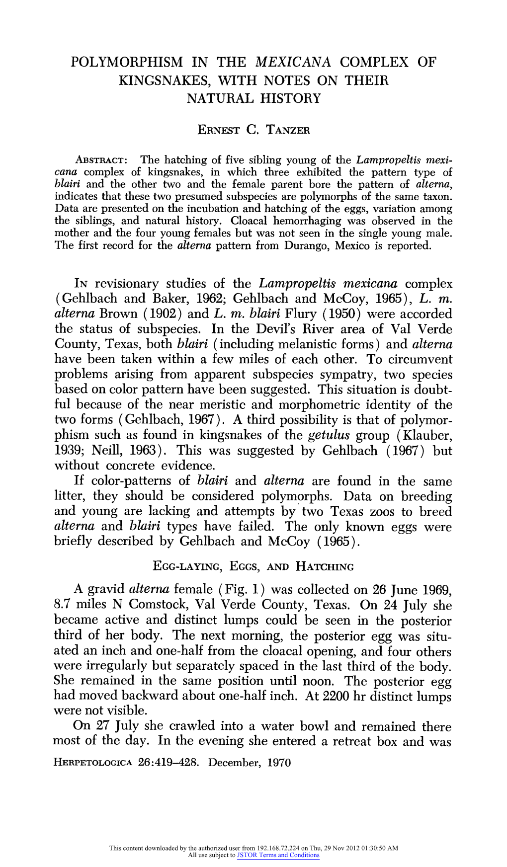 Polymorphism in the Mexicana Complex of Kingsnakes, with Notes on Their Natural History