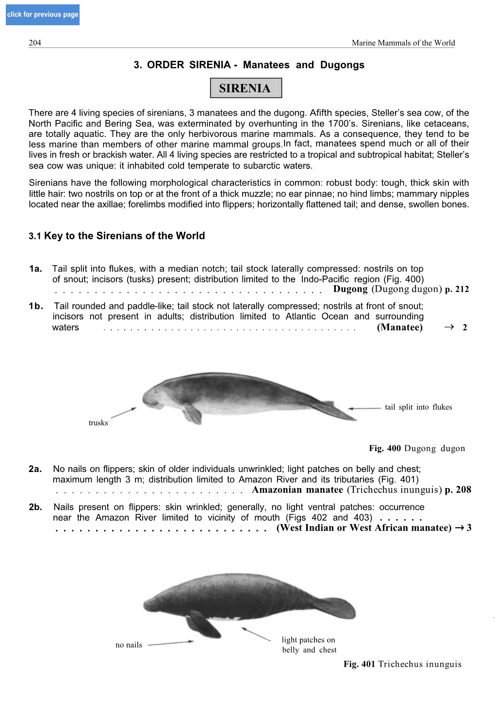 SIRENIA - Manatees and Dugongs SIRENIA