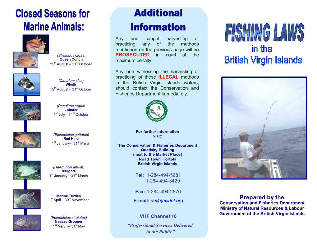 Fishing Laws in The