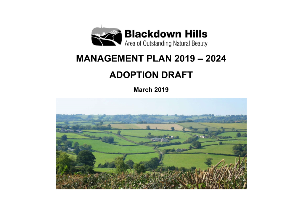 Blackdown Hills AONB Management Plan 2019-2024