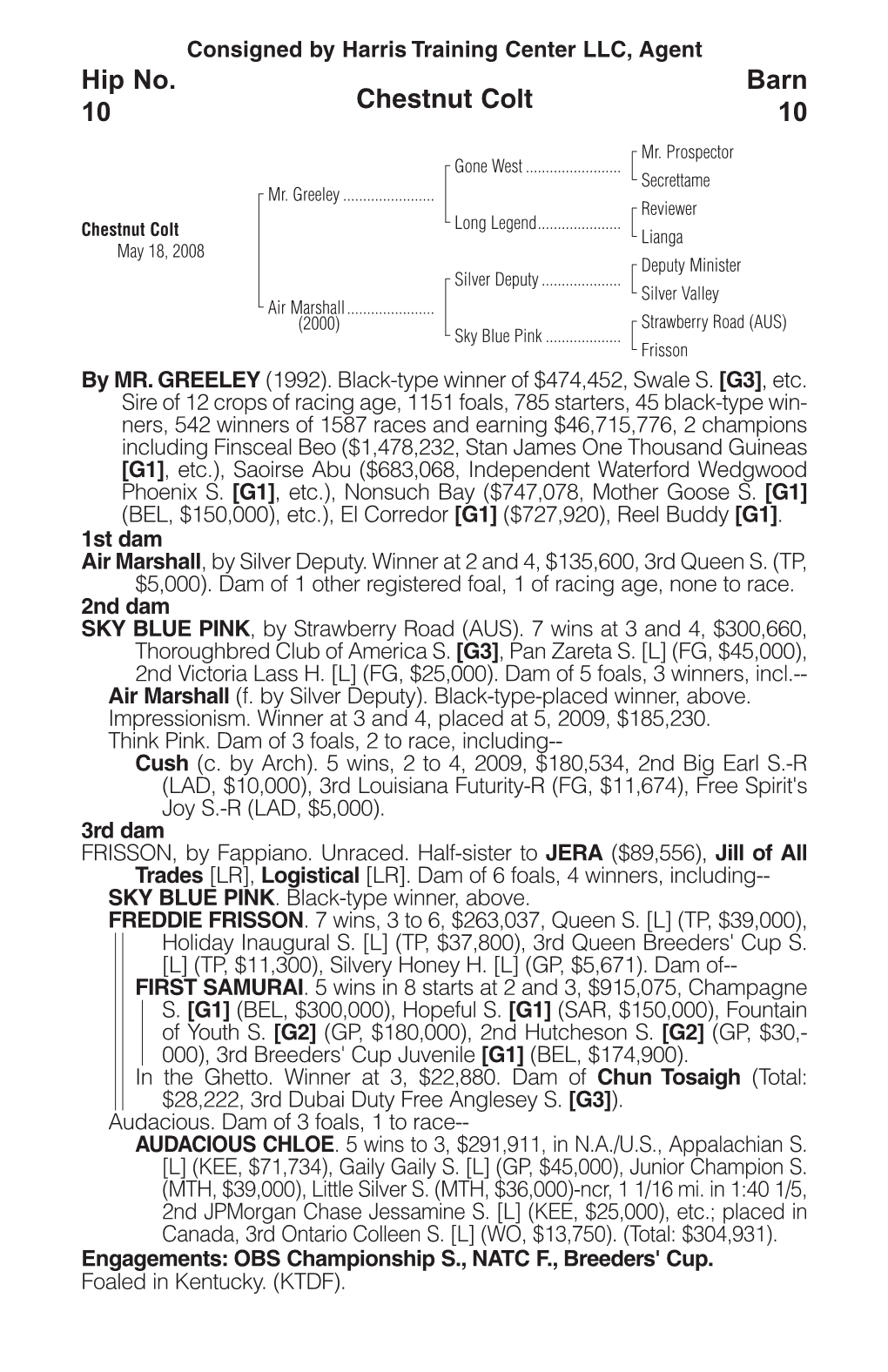 Chestnut Colt Barn 10 Hip No. 10