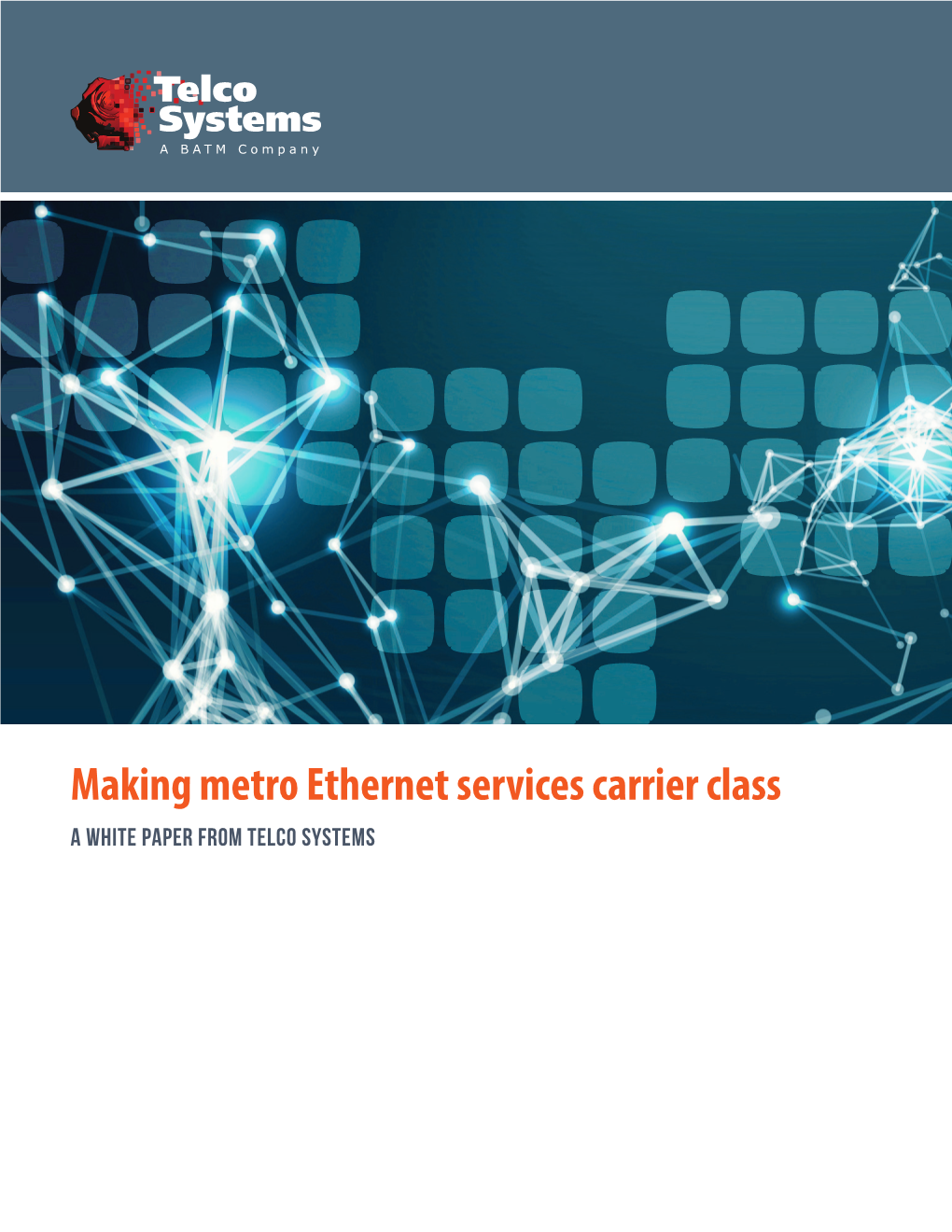 Making Metro Ethernet Services Carrier Class a White Paper from Telco Systems Contents