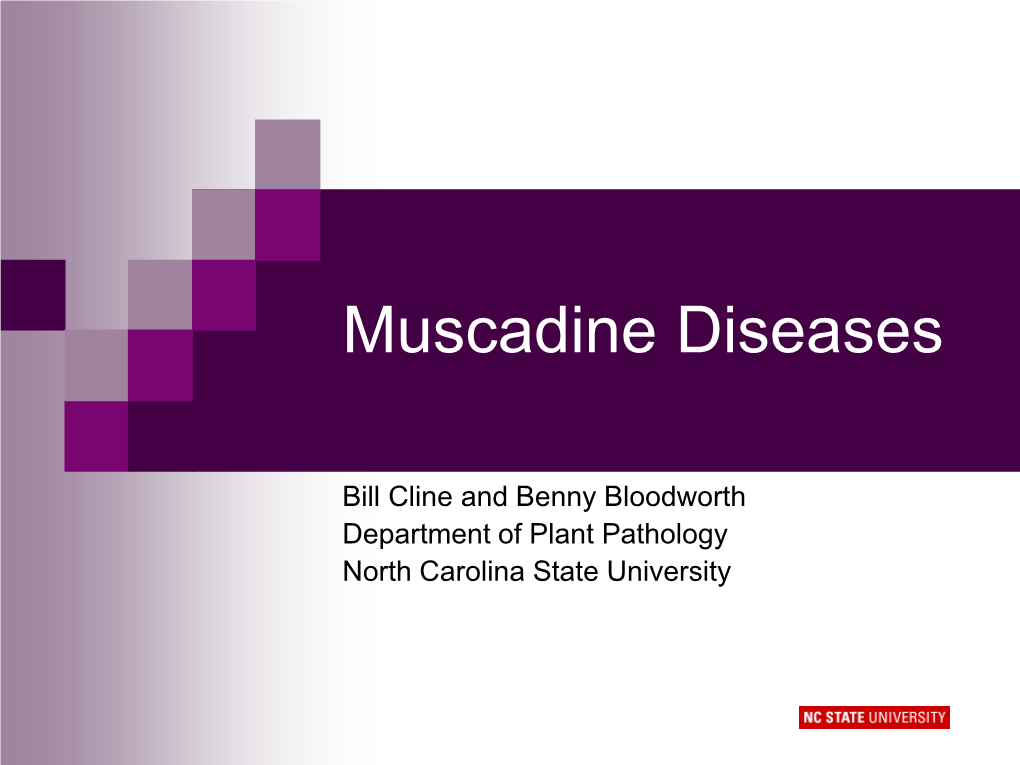 Muscadine Diseases