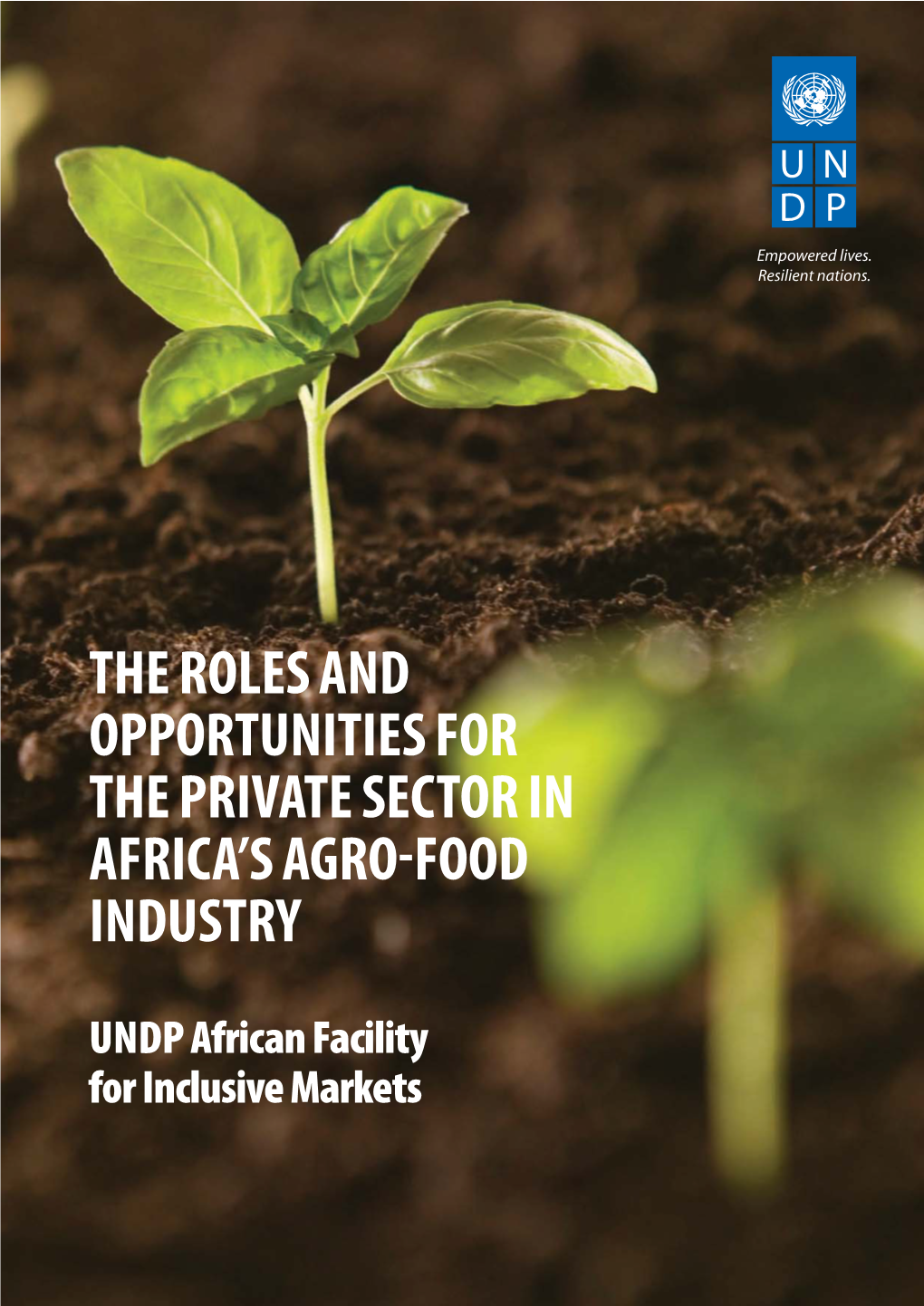 The Roles and Opportunities for the Private Sector in Africa's Agro-Food