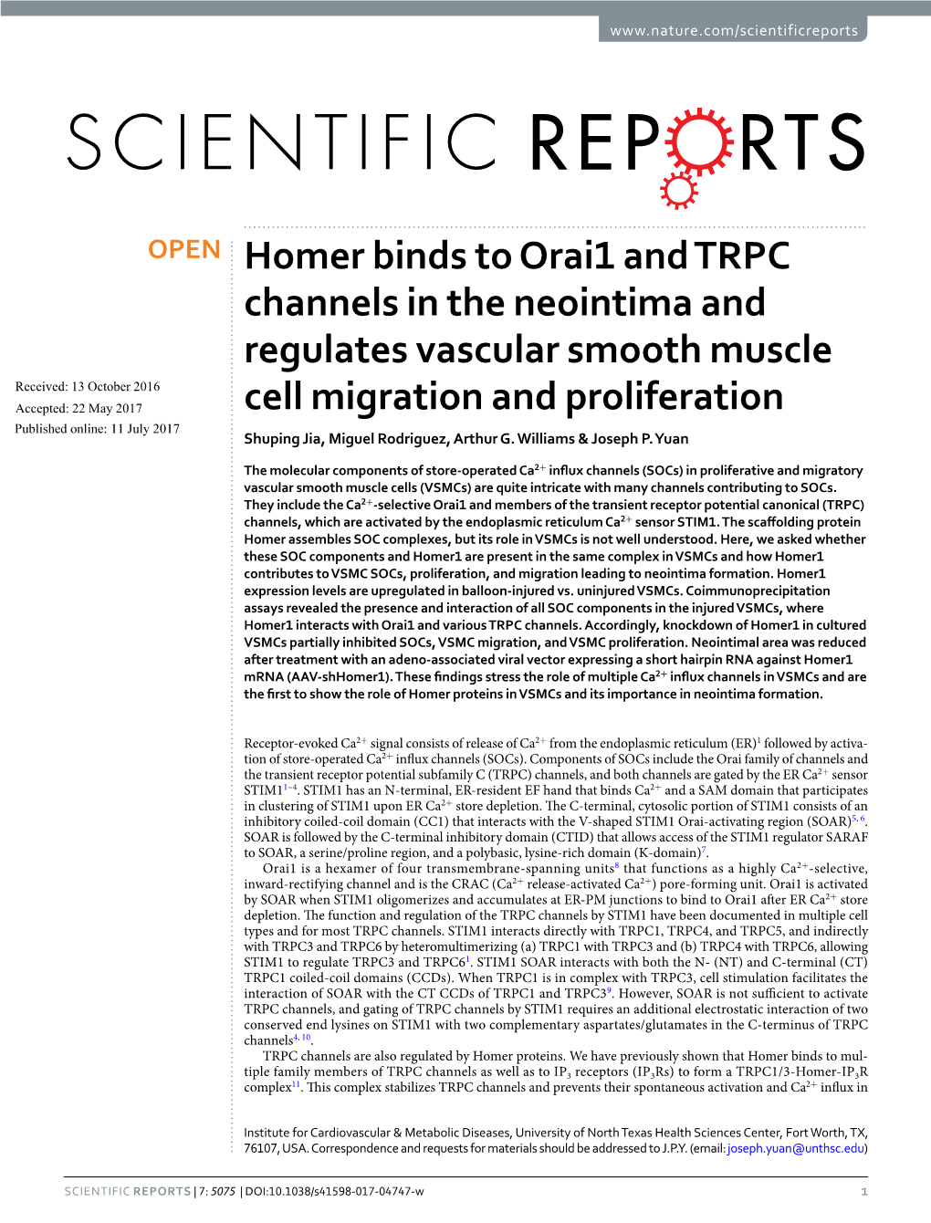 Homer Binds to Orai1 and TRPC Channels in the Neointima And