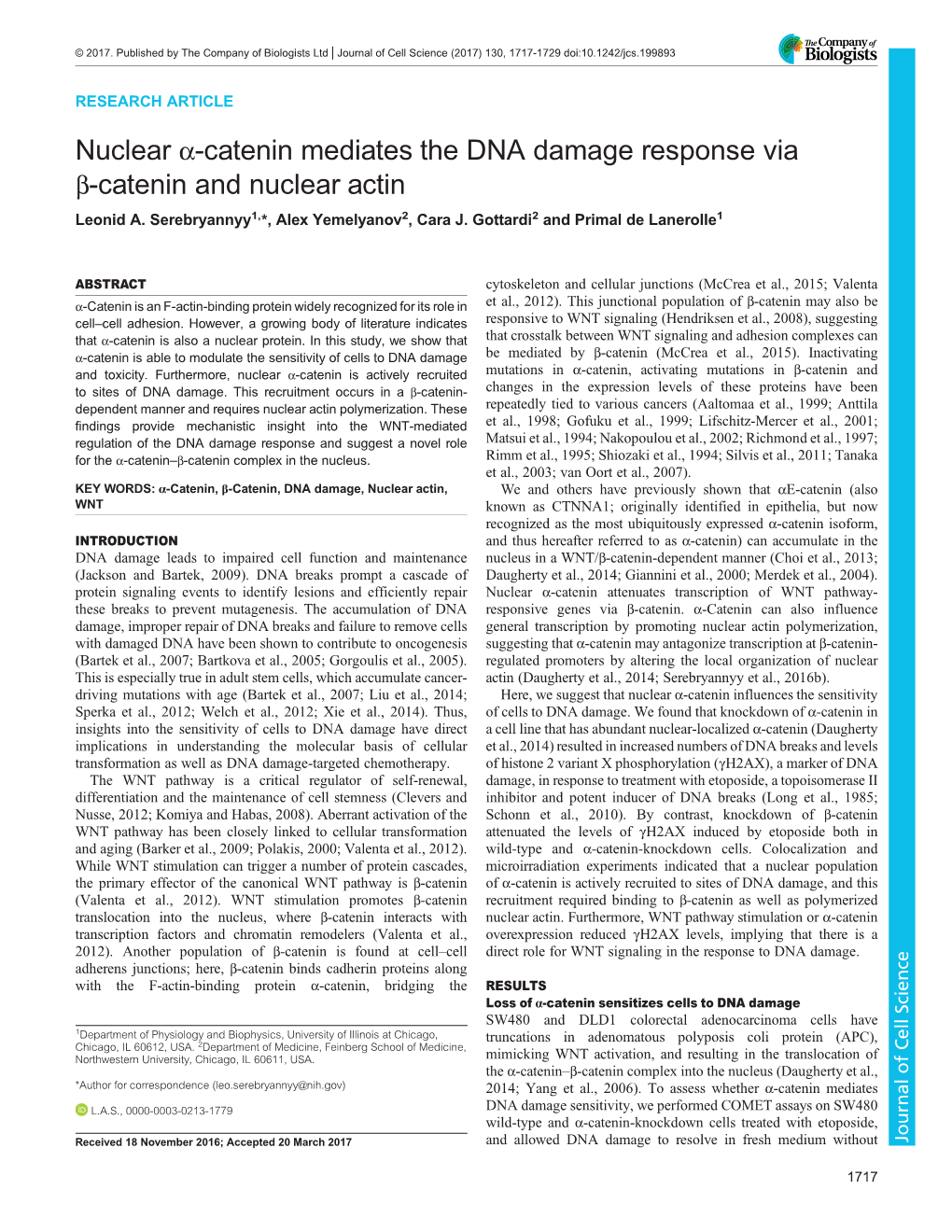 Nuclear Α-Catenin Mediates the DNA Damage Response Via Β-Catenin and Nuclear Actin Leonid A