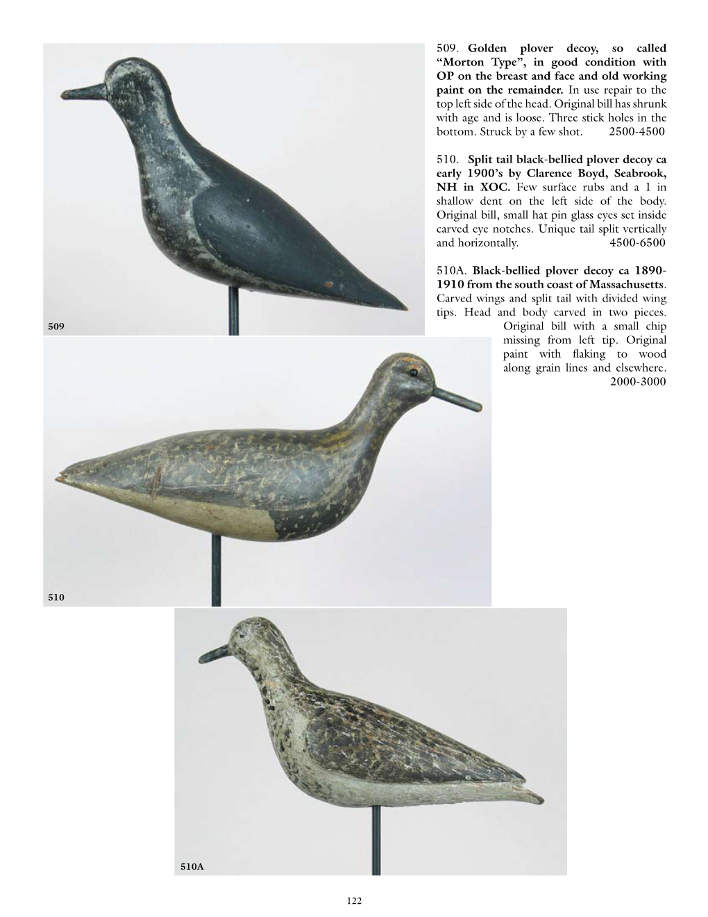 509. Golden Plover Decoy, So Called “Morton Type”, in Good Condition with OP on the Breast and Face and Old Working Paint on the Remainder