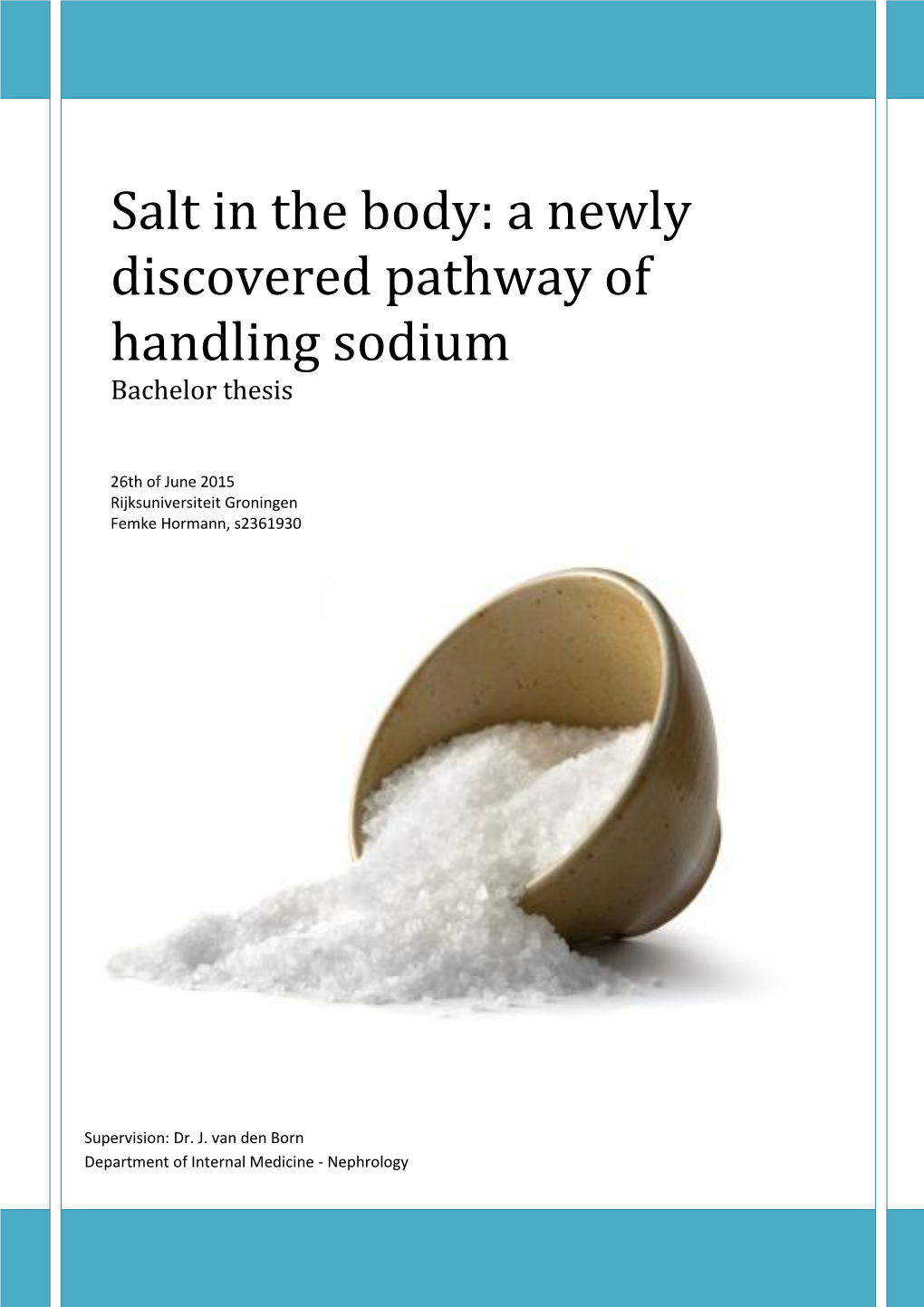 Salt in the Body: a Newly Discovered Pathway of Handling Sodium Bachelor Thesis