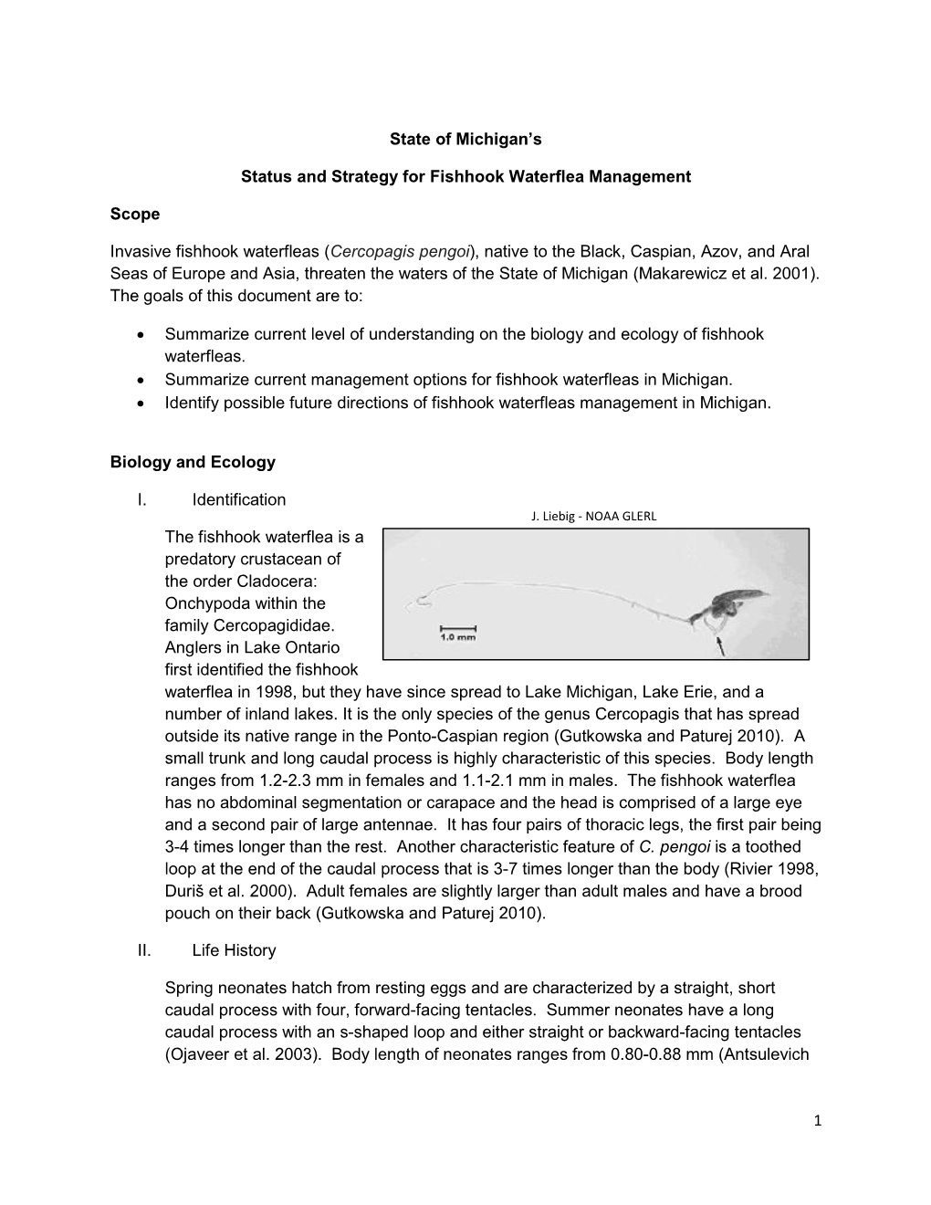 Fishhook Water Flea (Cercopagis Pengoi)