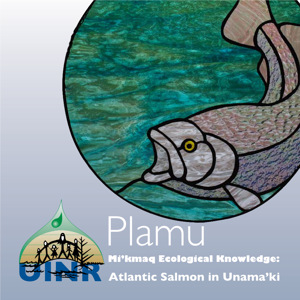 Plamu Mi'kmaq Ecological Knowledge: Atlantic Salmon in Unama'ki