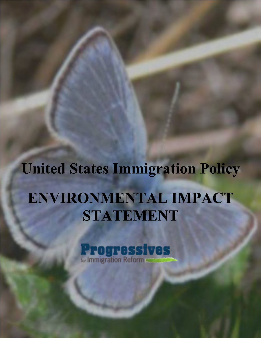 Environmental Impact Statement on US Immigration Policy