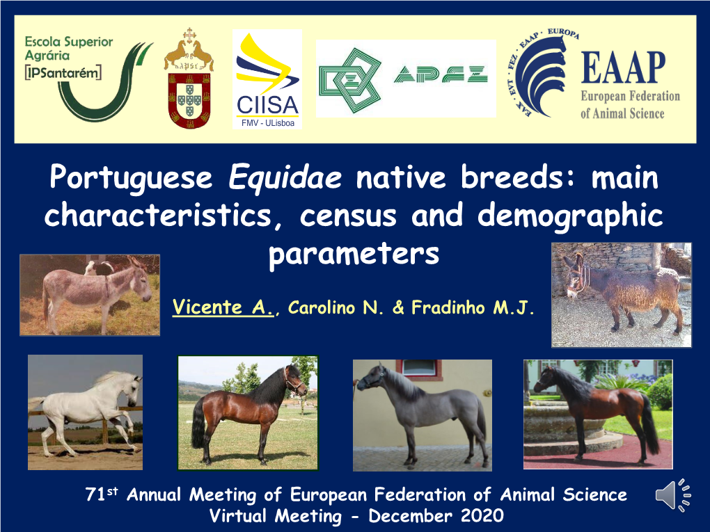 Portuguese Equidae Native Breeds: Main Characteristics, Census and Demographic Parameters