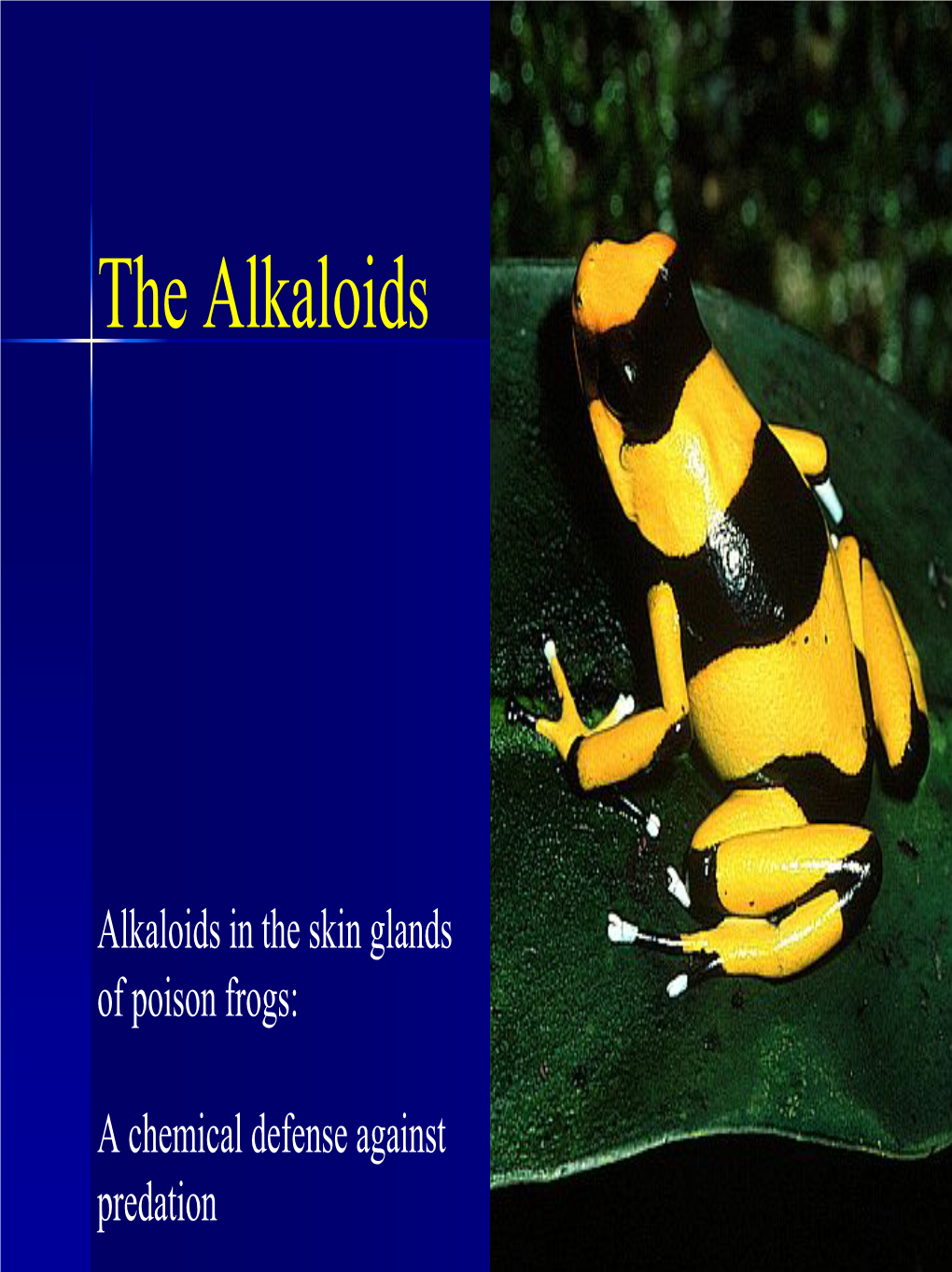 The Alkaloids