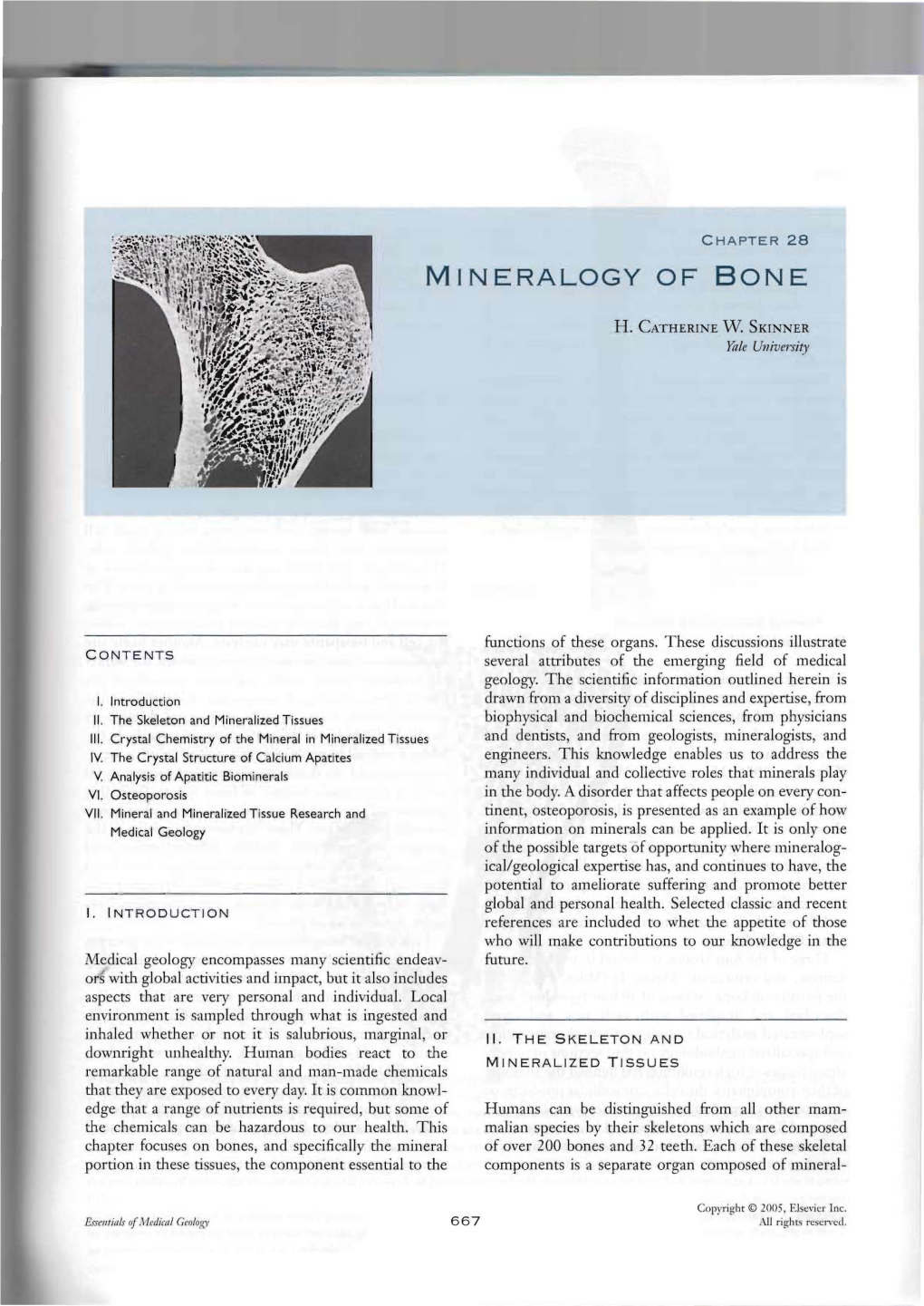 Mineralogy of Bone