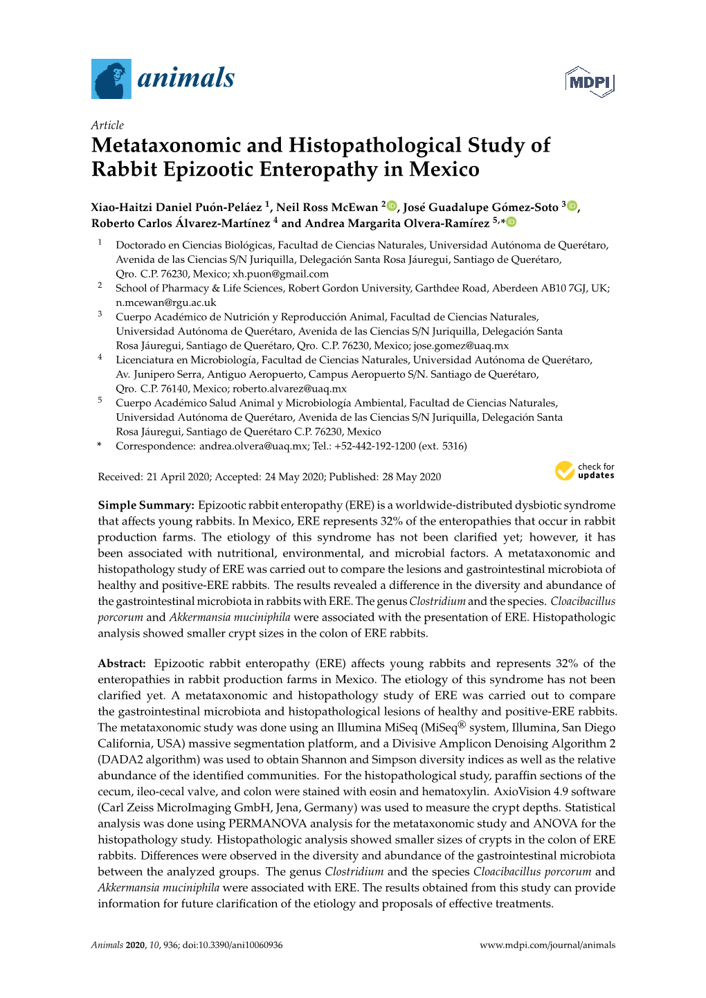 Metataxonomic and Histopathological Study of Rabbit Epizootic Enteropathy in Mexico