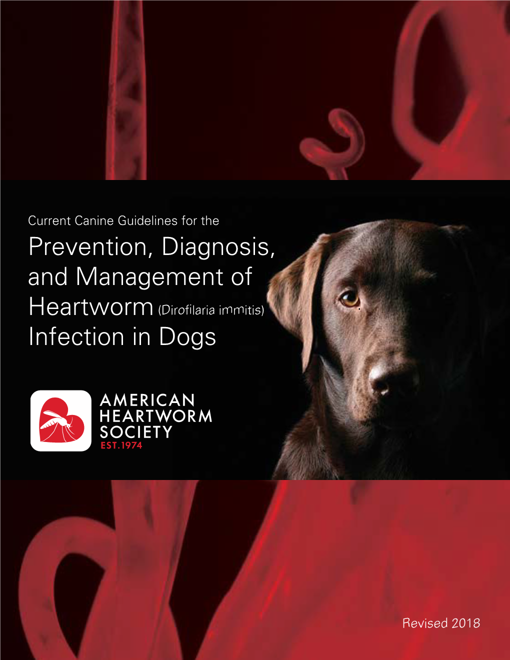 Prevention, Diagnosis, and Management of Infection in Dogs