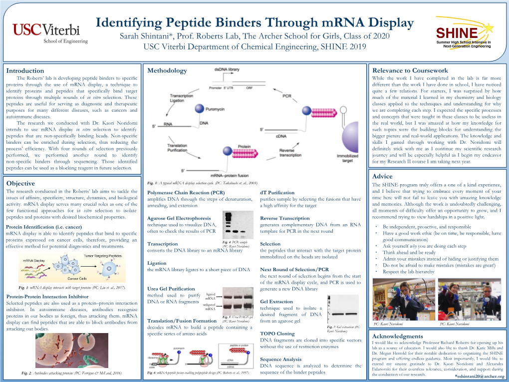 Identifying Peptide Binders Through Mrna Display Sarah Shintani*, Prof