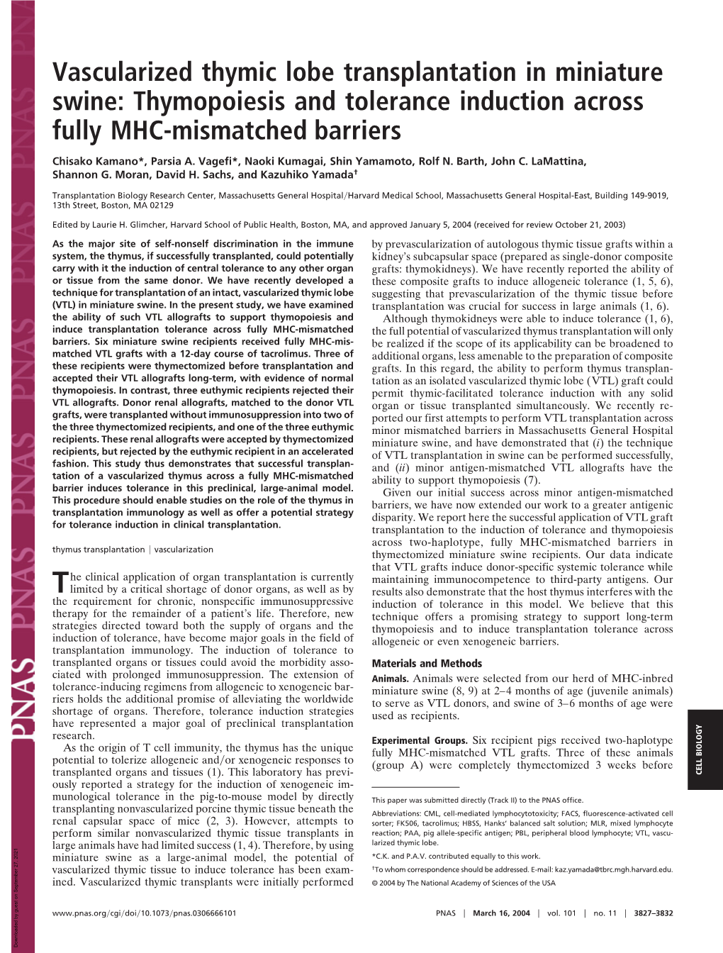 Vascularized Thymic Lobe Transplantation in Miniature Swine: Thymopoiesis and Tolerance Induction Across Fully MHC-Mismatched Barriers