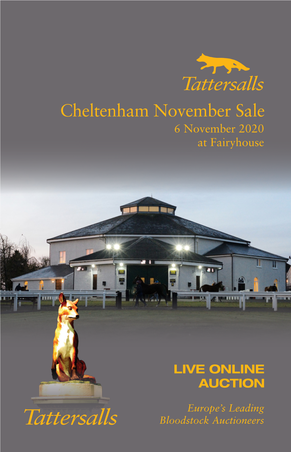 Cheltenham November Sale 6 November 2020 at Fairyhouse