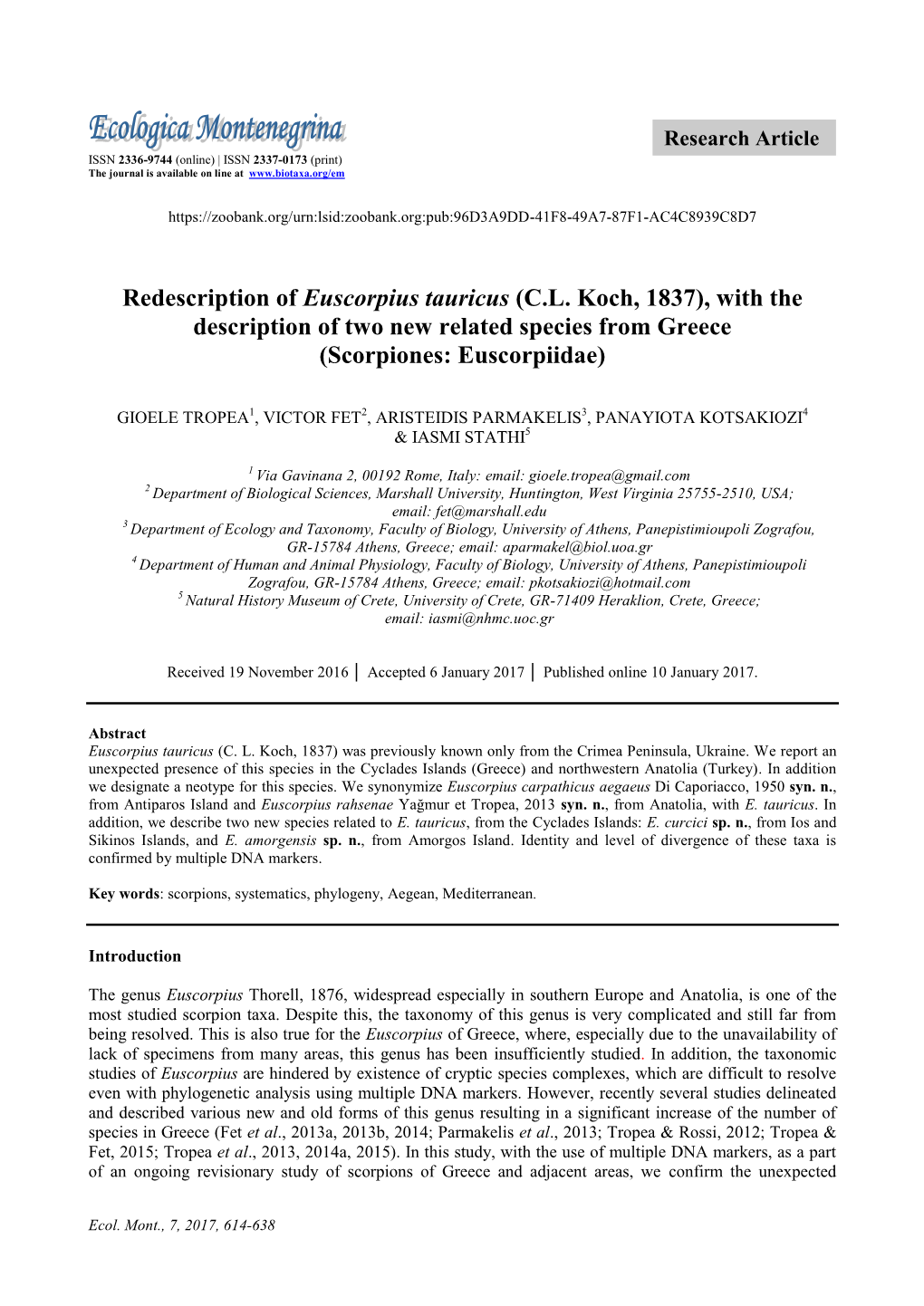 Redescription of Euscorpius Tauricus (C.L