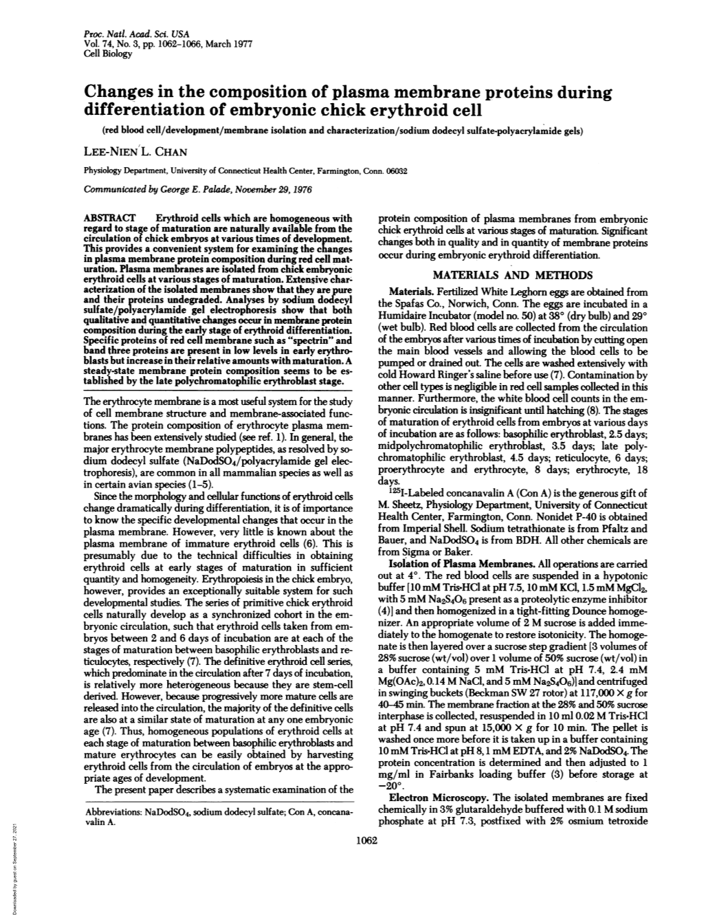 Changes in the Composition of Plasma Membrane Proteins During Differentiation of Embryonic Chick Erythroid Cell