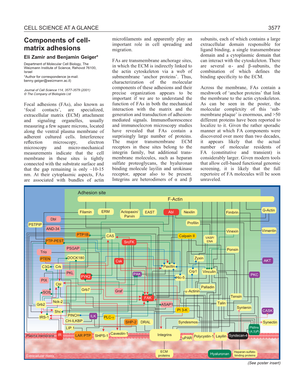 Cell Science at a Glance