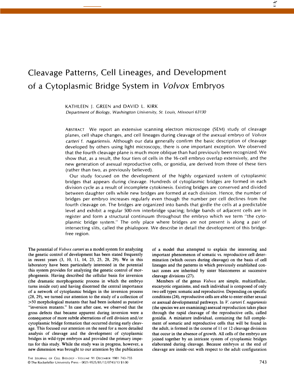 Cleavage Patterns, Cell Lineages, and Development of a Cytoplasmic Bridge System in Volvox Embryos