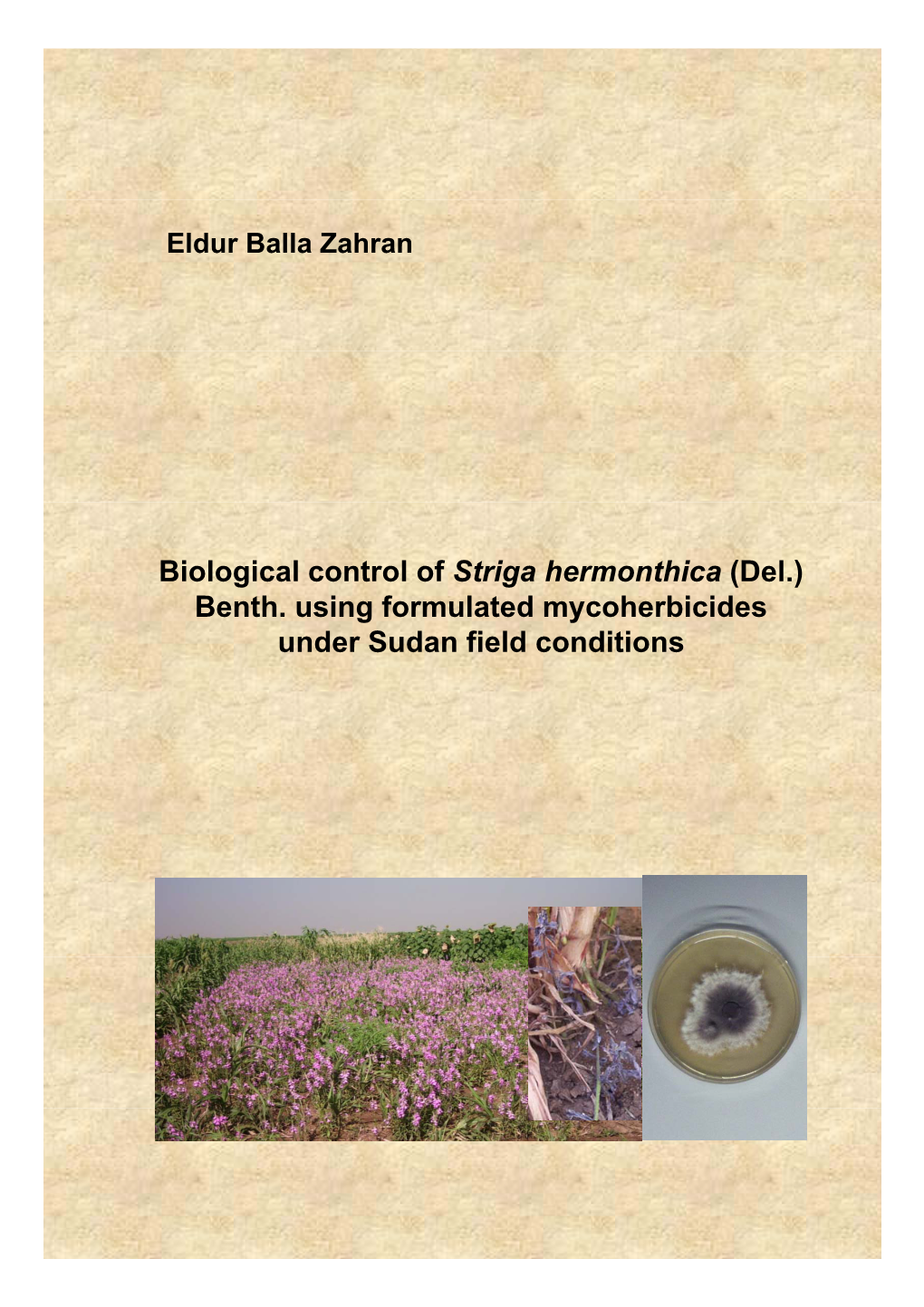 Biological Control of Striga Hermonthica (Del.) Benth. Using Formulated Mycoherbicides Under Sudan Field Conditions