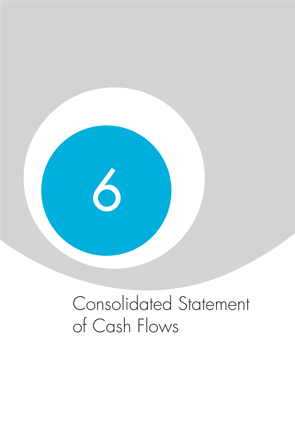 Consolidated Statement of Cash Flows Consolidated Statement of Cash Flows 6