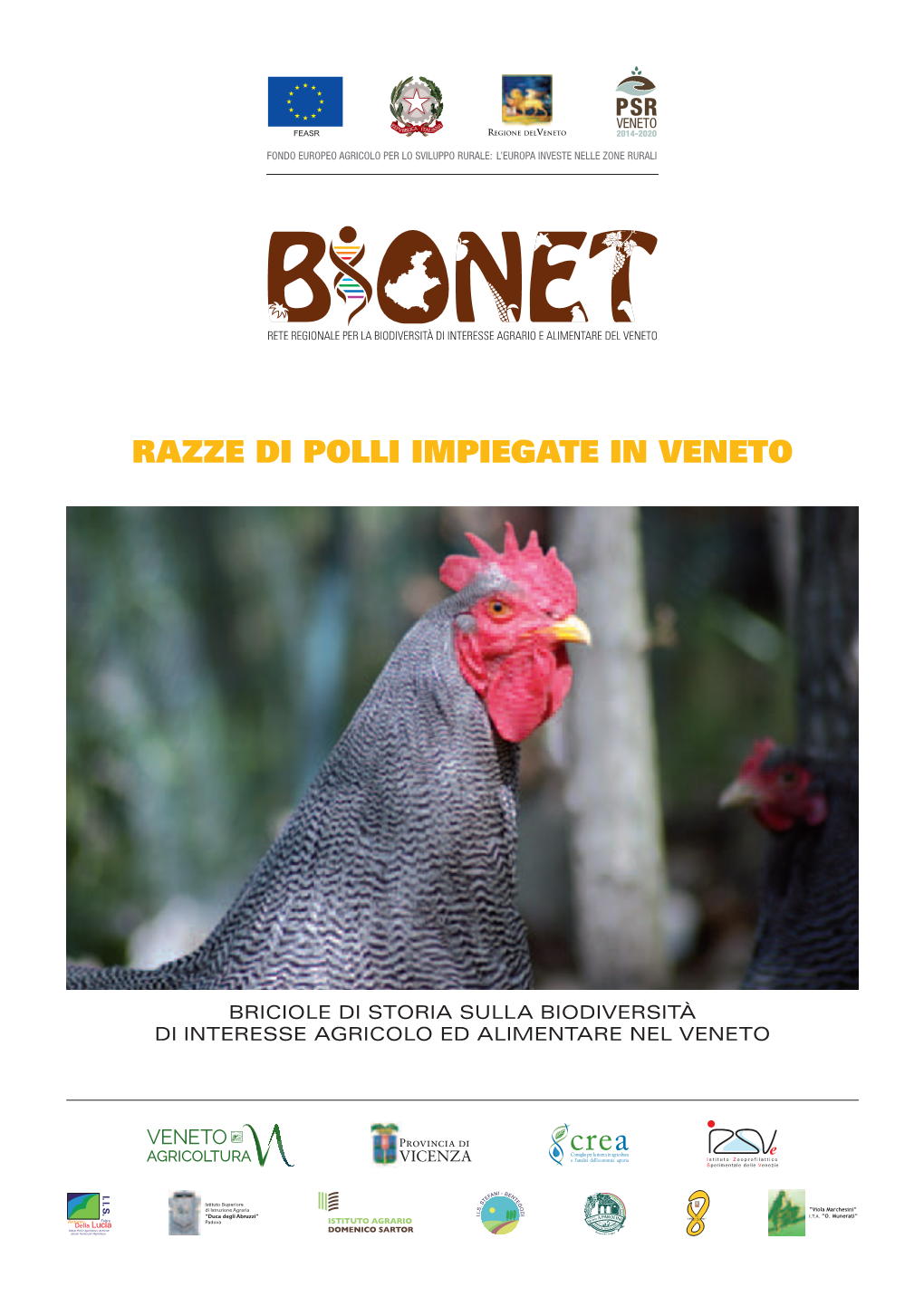 Razze Di Polli Impiegate in Veneto