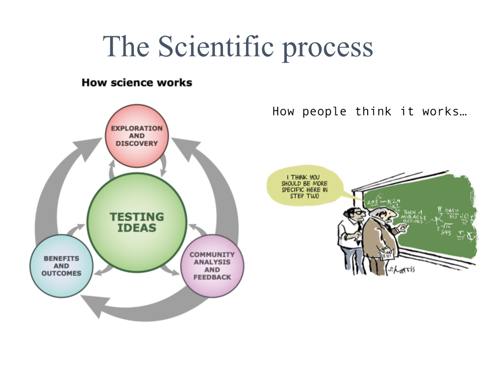 The Scientific Process