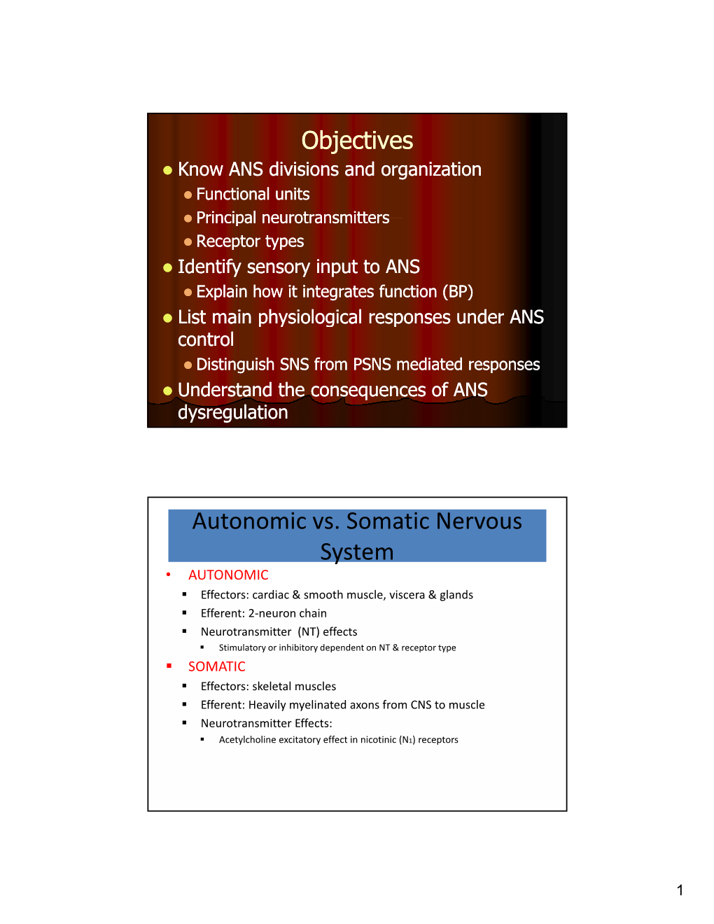 Autonomic Vs. Somatic Nervous System