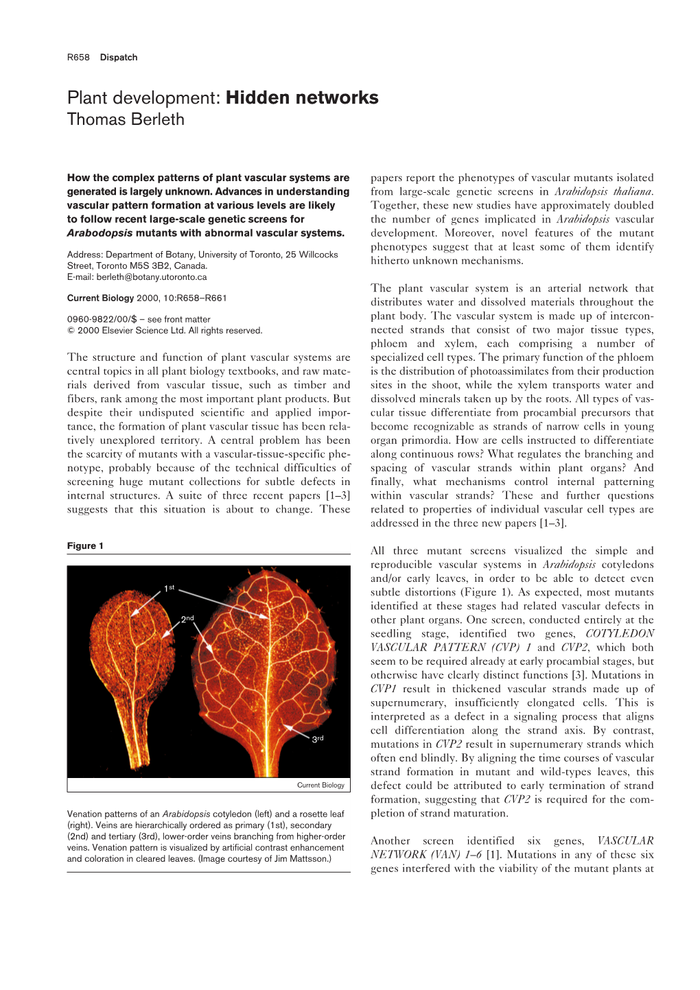 Plant Development: Hidden Networks Thomas Berleth