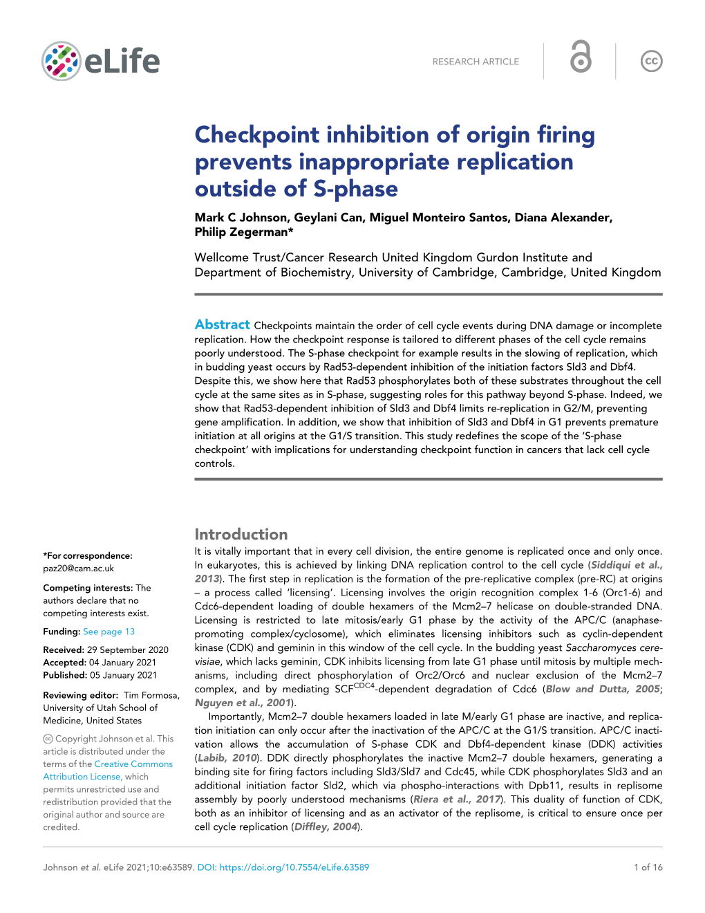 Checkpoint Inhibition of Origin Firing Prevents Inappropriate Replication