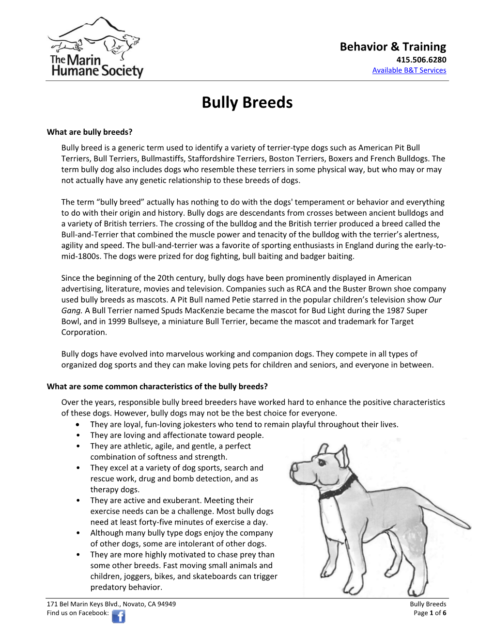 Bully Breeds