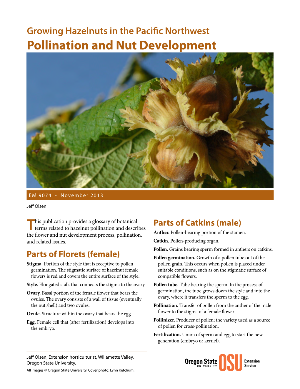 Pollination and Nut Development