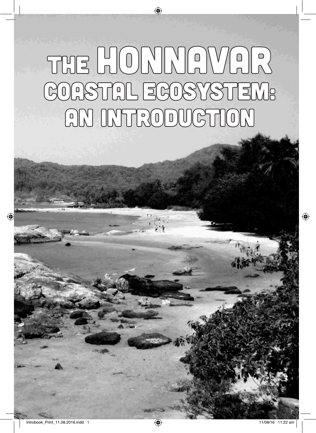 The Honnavar Coastal System