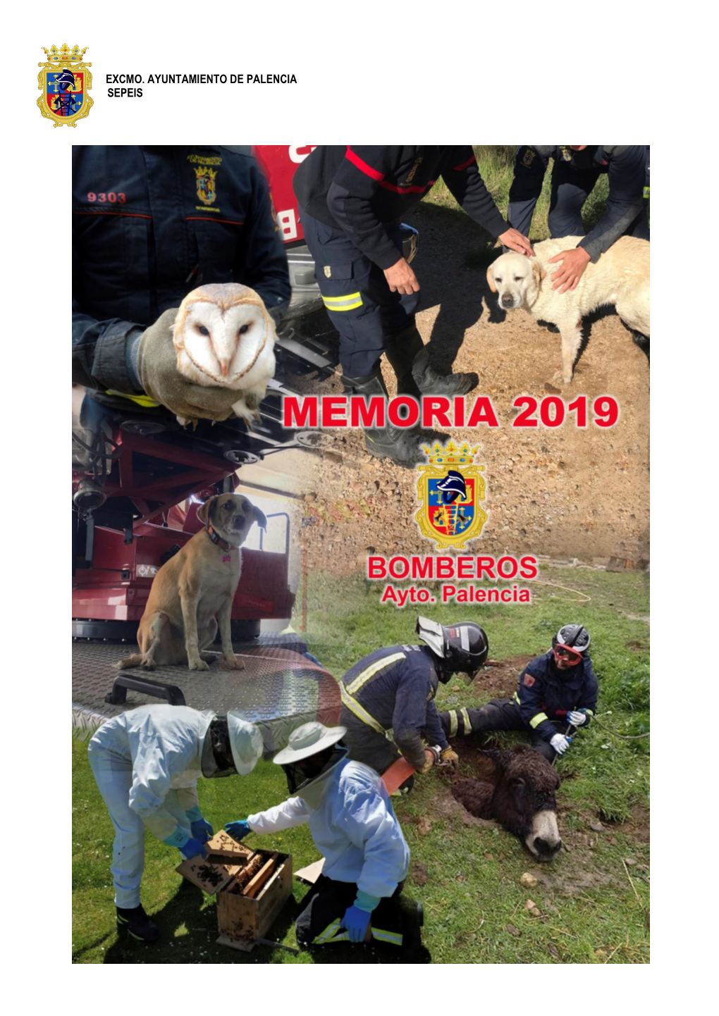 Memoria De Bomberos 2019