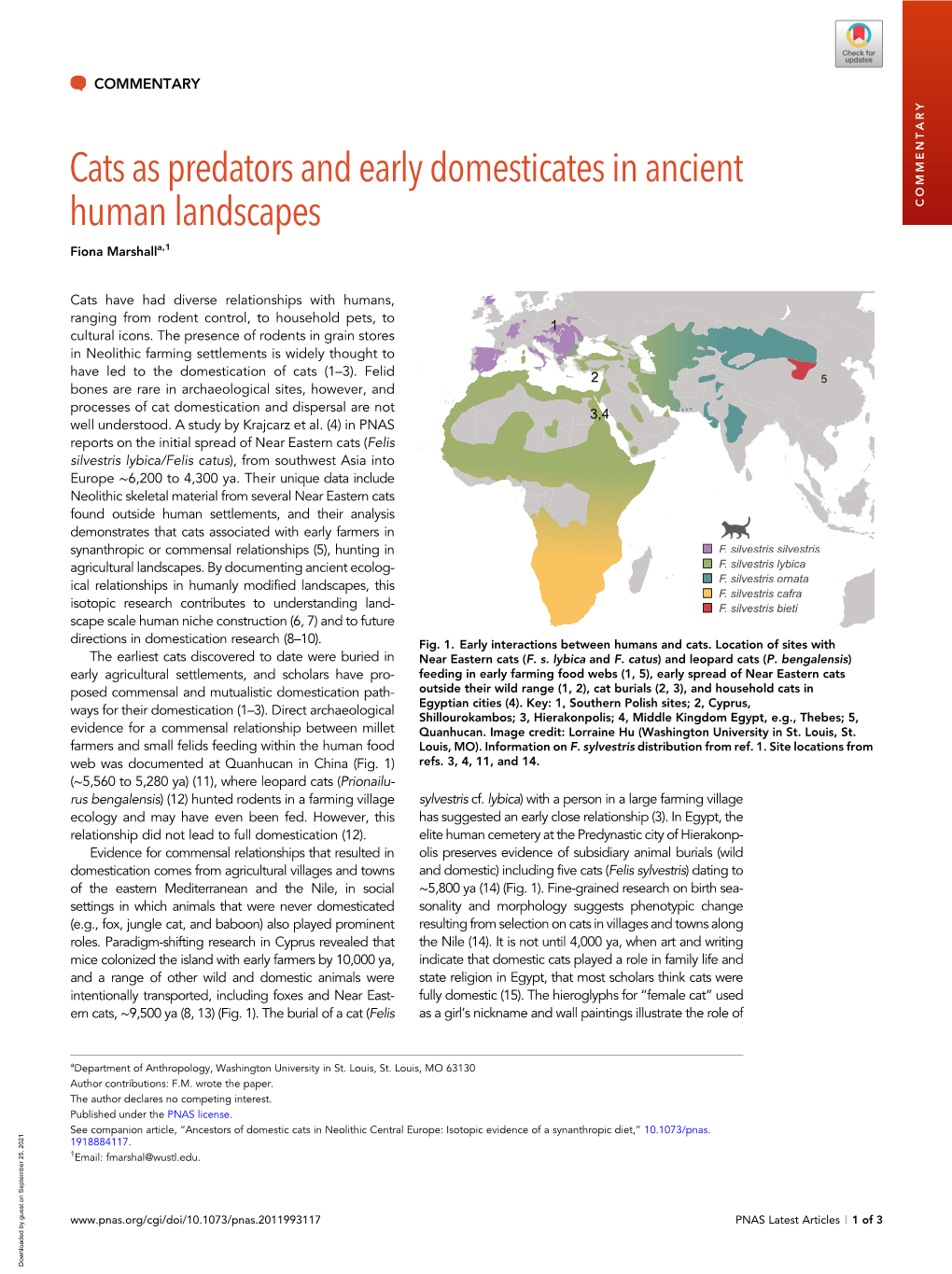 Cats As Predators and Early Domesticates in Ancient Human