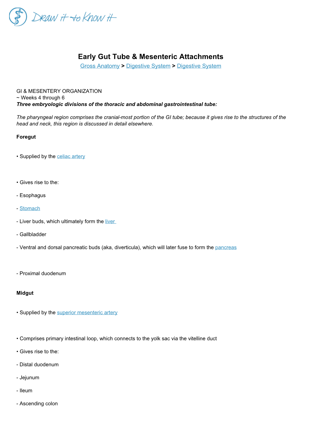 Early Gut Tube & Mesenteric Attachments