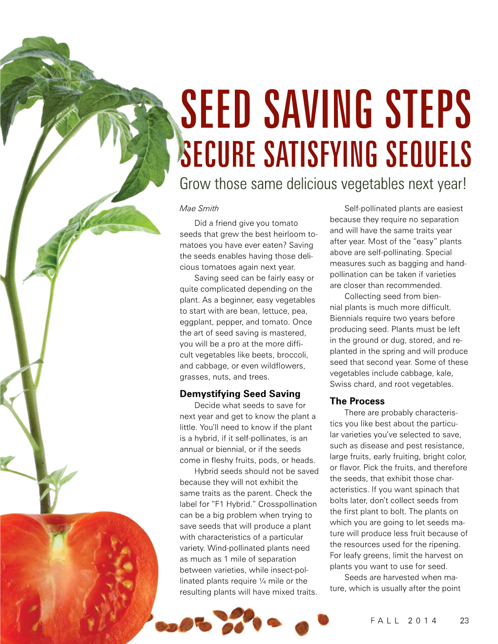 SEED SAVING STEPS SECURE SATISFYING SEQUELS Grow Those Same Delicious Vegetables Next Year!