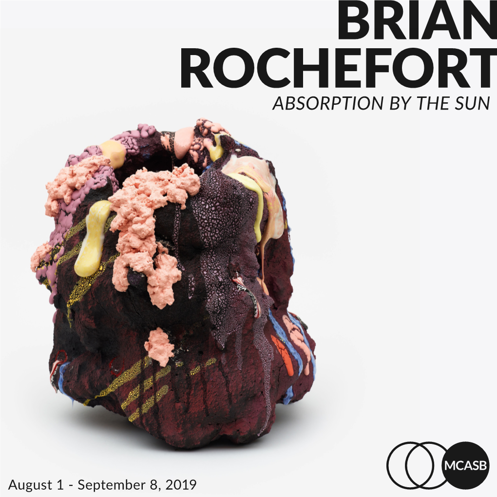 Brian Rochefort Absorption by the Sun