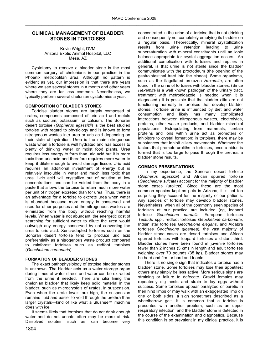 Clinical Management of Bladder Stones in Tortoises