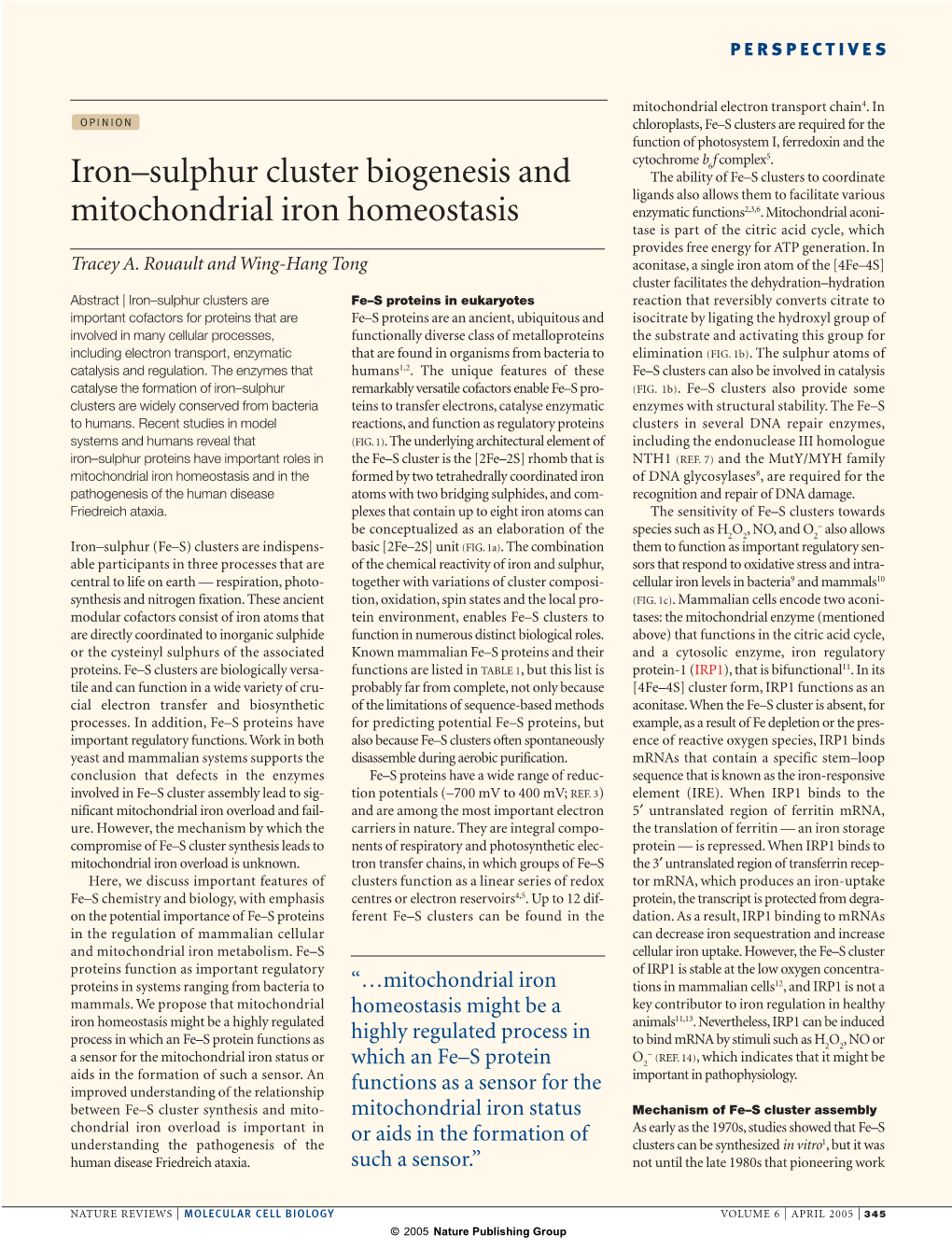 Iron–Sulphur Cluster Biogenesis and Mitochondrial Iron Homeostasis