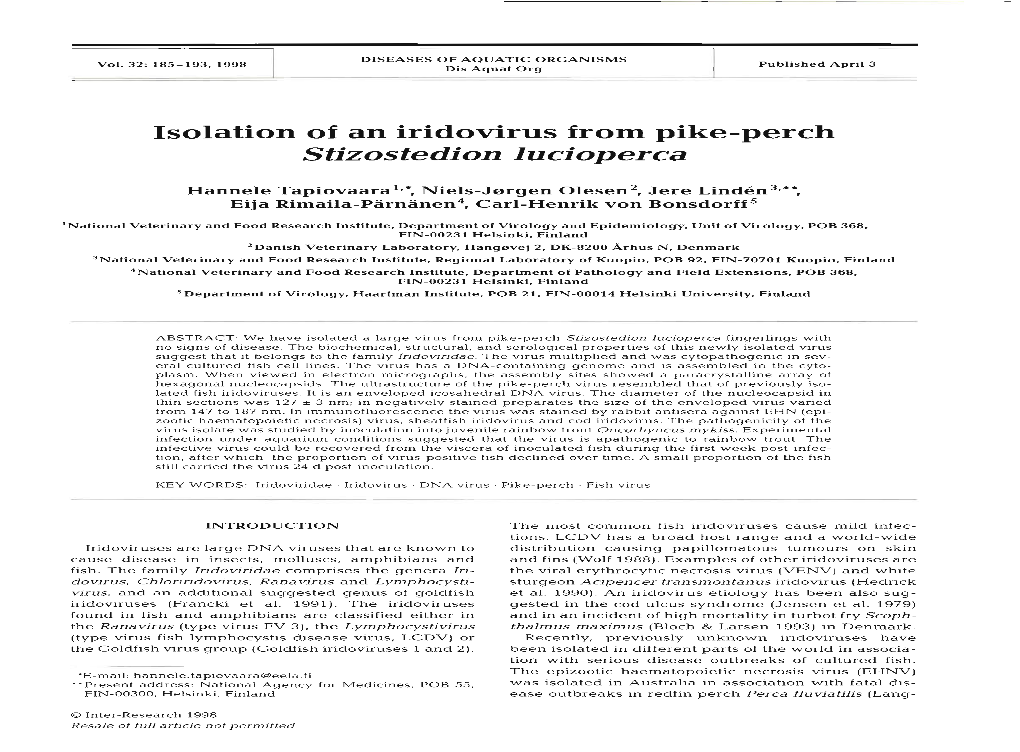 Isolation of an Iridovirus from Pike-Perch Stizostedion Lucioperca