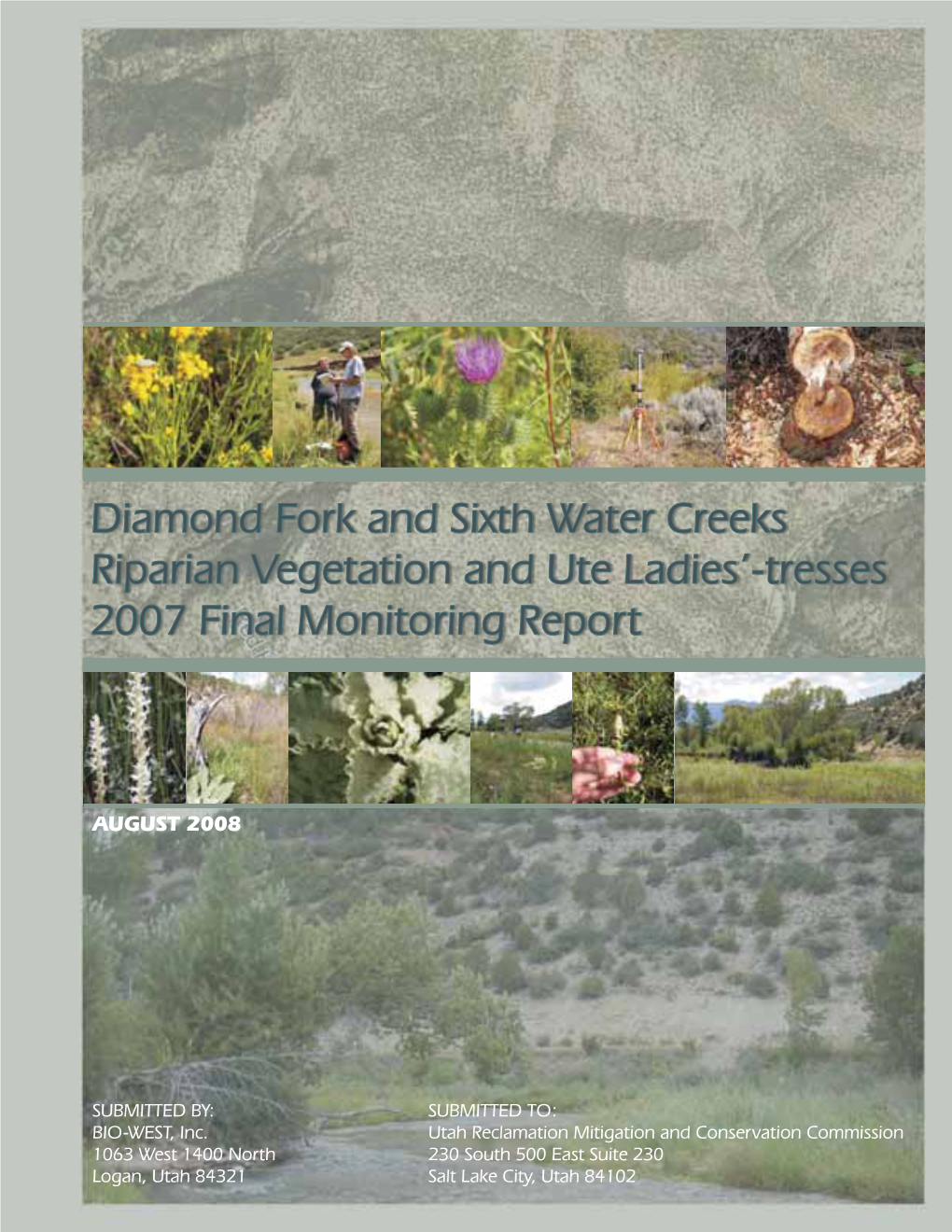 Diamond Fork and Sixth Water Creeks Riparian Vegetation and Ute Ladies