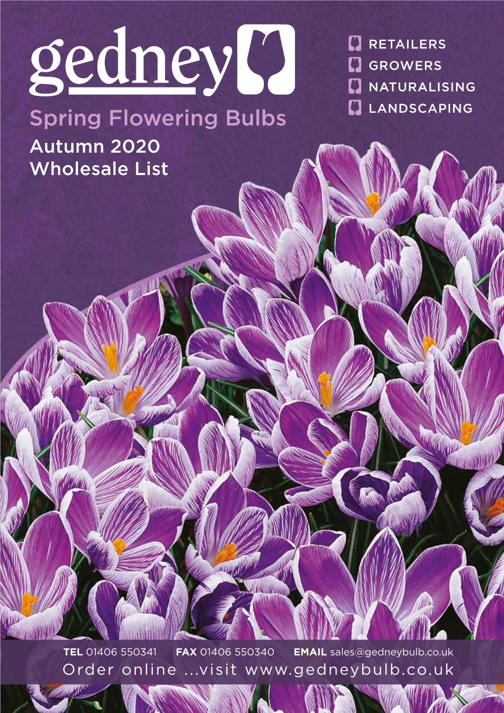 Spring Flowering Bulbs LANDSCAPING Autumn 2020 Wholesale List