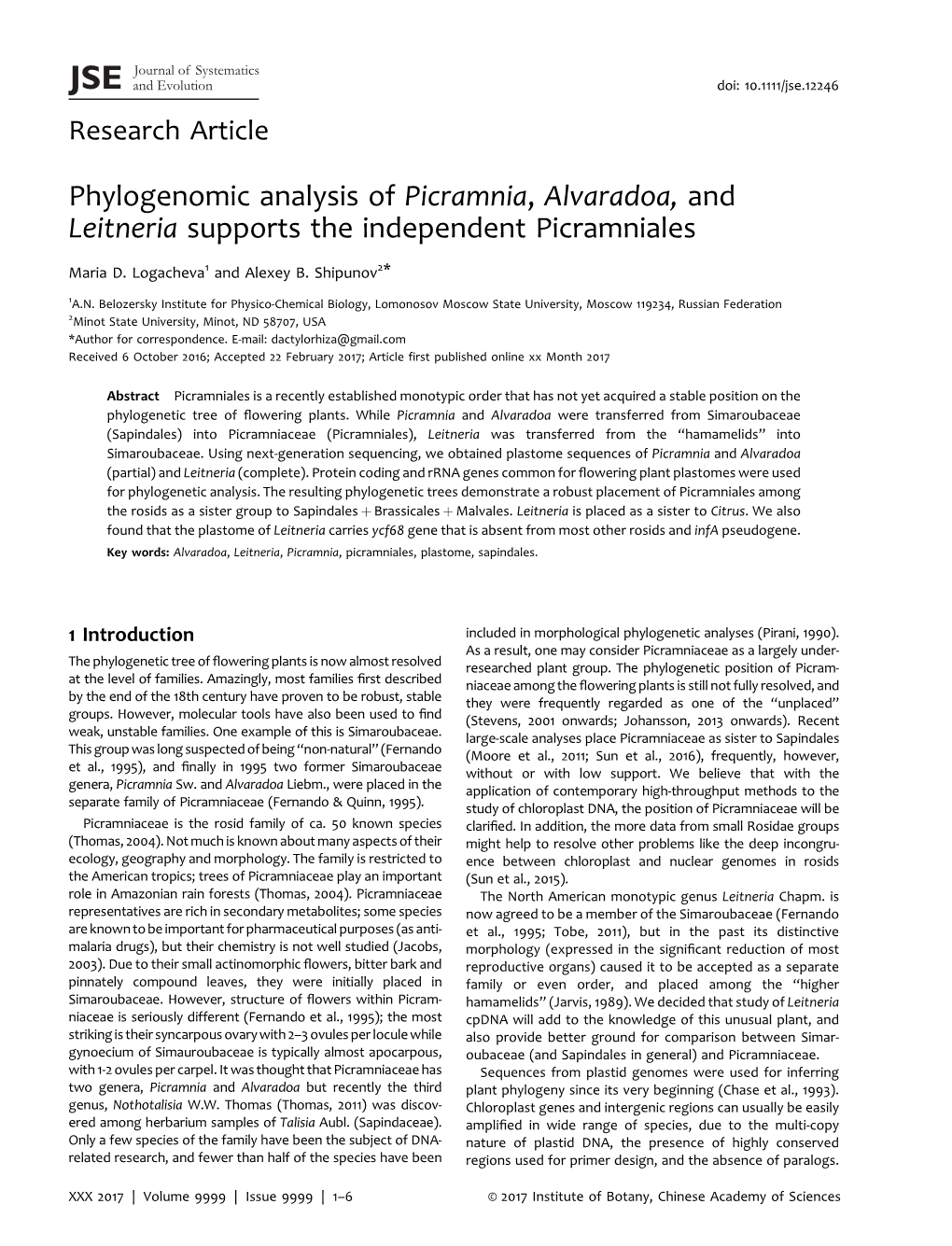Phylogenomic Analysis of Picramnia, Alvaradoa, and Leitneria Supports the Independent Picramniales