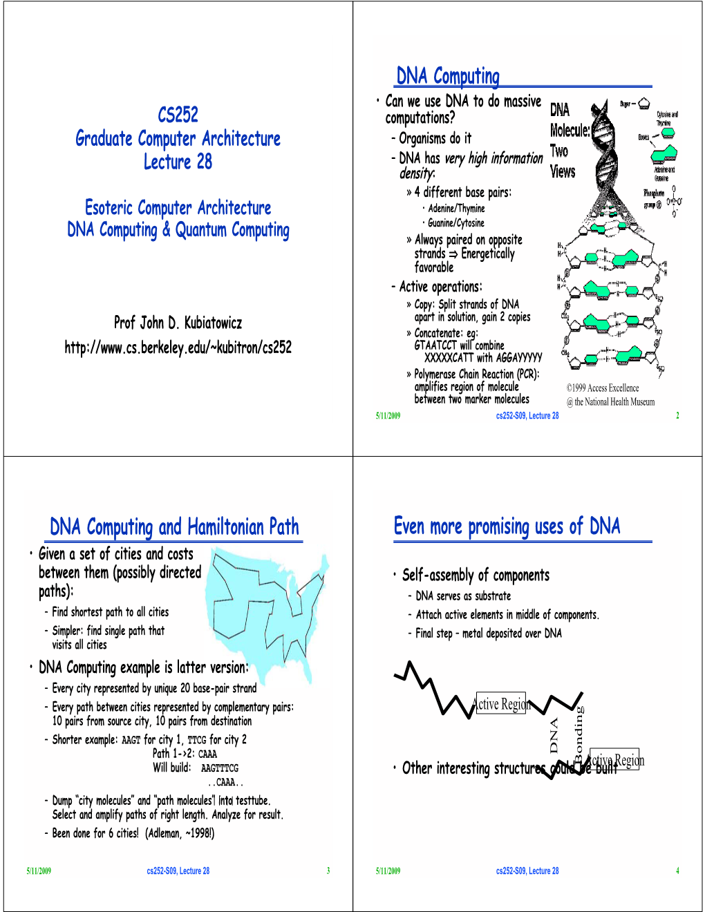 DNA Computing